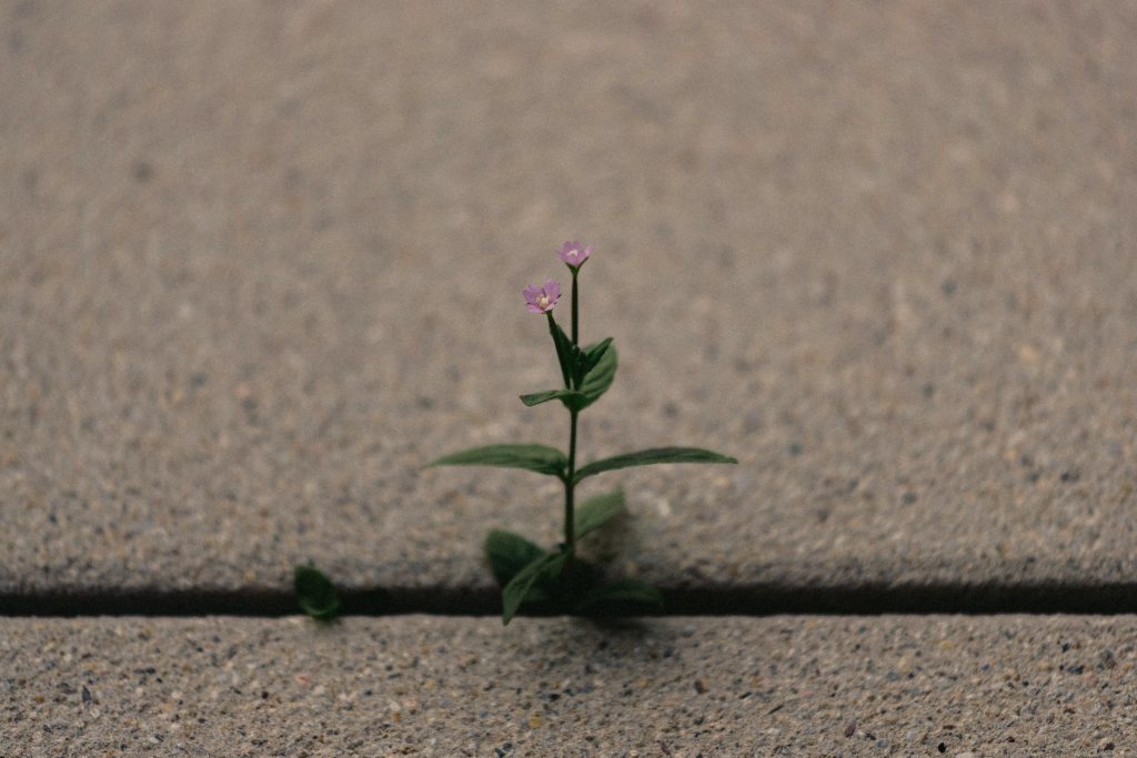 Why You’re Not Seeing Progress in Therapy—and How an Intensive Can Change That