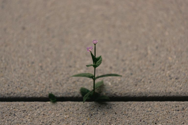 Why You’re Not Seeing Progress in Therapy—and How an Intensive Can Change That